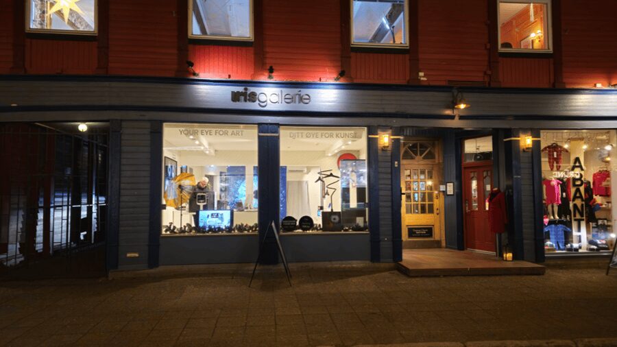 Tromsø: Reveal Your Eye Experience at the Iris Galerie - Weather-proof Tromsø: why this works when the Arctic gets loud