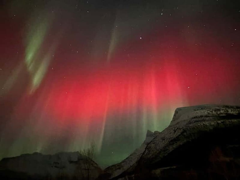 Tromsø: Sami Culture & Reindeer with Transport - From Prostneset To Skibotn: The Arctic Route Bus Plan