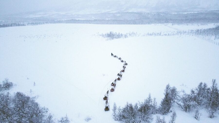 Tromsø: Sámi Reindeer Sledding and Sami Cultural Tour - Reindeer Sledding: The Sweet Spot, Plus the Limits That Matter