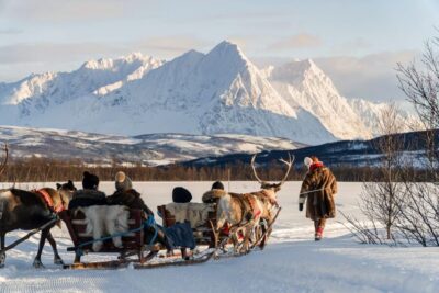 Sámi Reindeer Sledding and Sami Cultural Tour