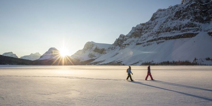 Tromso: Scenic & Eco-Friendly Snowshoeing Tour - Key highlights that make this Tromsø snowshoe tour special