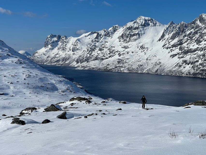 Tromso: Scenic & Eco-Friendly Snowshoeing Tour - Who should book this Tromsø snowshoe tour?
