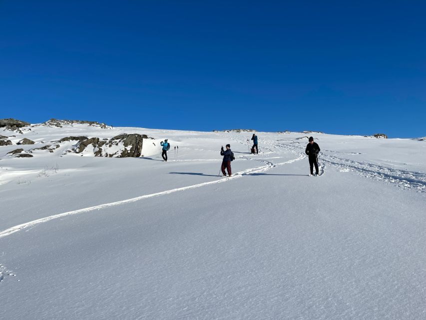 Tromso: Scenic & Eco-Friendly Snowshoeing Tour - Coffee, a pause for silence, and the Norwegian fish soup moment