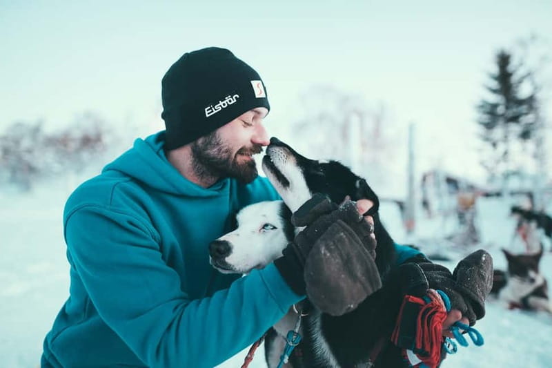 Tromsø: Self-Drive Husky Dog Sledding Adventure - Tromsø Pickup and the Short Ride to Kvaløya