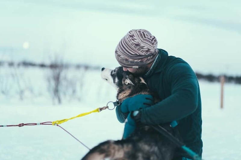 Tromsø: Self-Drive Husky Dog Sledding Adventure - Gear, Comfort, and How to Pack for Arctic Cold