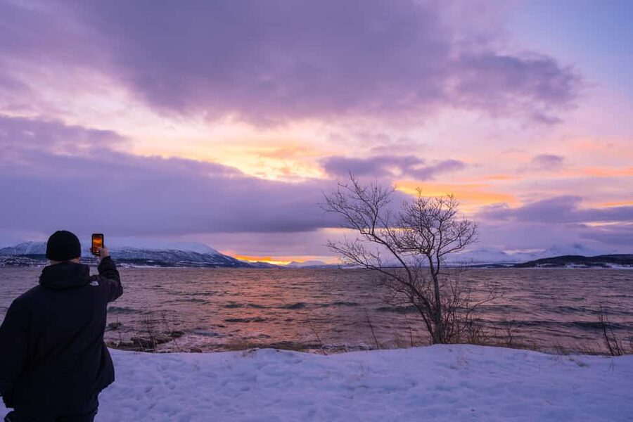 Tromsø: Senja Fjord Tour in Chinese/English Small-Group - Learn why this coast works: guide insights in Chinese or English