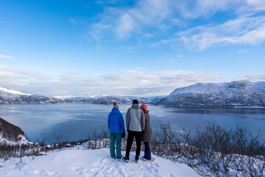 Tromsø: Senja Fjord Tour in Chinese/English Small-Group - Senja photo stops: Bergsbotn, Tungeneset, and roadside Arctic drama