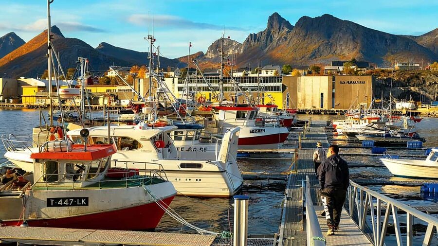 Tromsø: Senja Fjords & Coast Day Tour with FREE Photos - What to Pack for a 9-Hour Senja Day (No Guesswork)