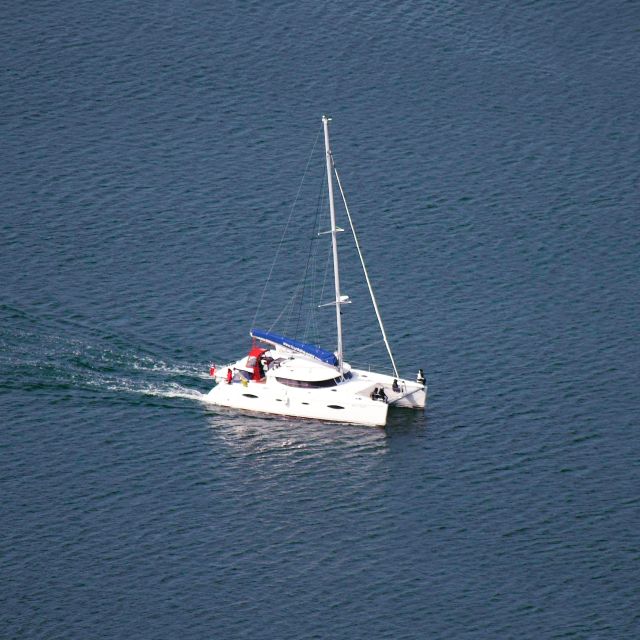 Tromso: Sightseeing Cruise by Catamaran with Snacks & Drinks - Wildlife spotting in Tromsø: your best odds and how to use them