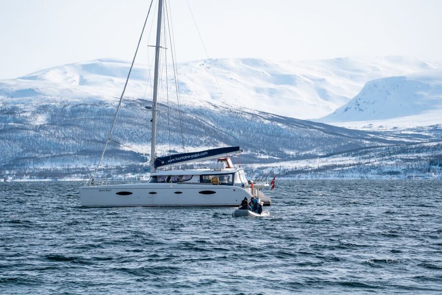 Tromso: Sightseeing Cruise by Catamaran with Snacks & Drinks - Comfort details: snacks, drinks, warmth, and onboard restrooms