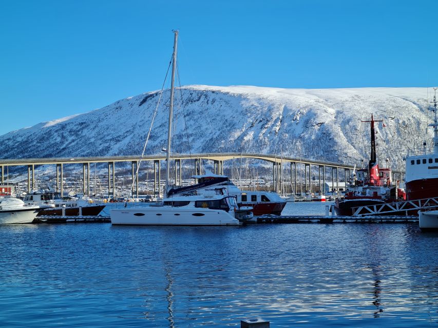 Tromso: Sightseeing Cruise by Catamaran with Snacks & Drinks - Who this cruise suits best, and who might want a different plan