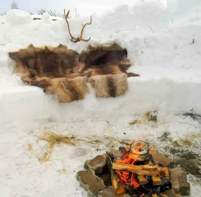 Tromsø: Sledding, Toboggan, Mini Skiing, Lasso & Arctic Fun - Sledding runs on toboggans, plus a workout on the climb