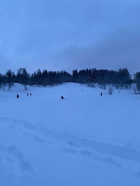 Tromsø: Sledding, Toboggan, Mini Skiing, Lasso & Arctic Fun - Northern lights chances, without the pressure