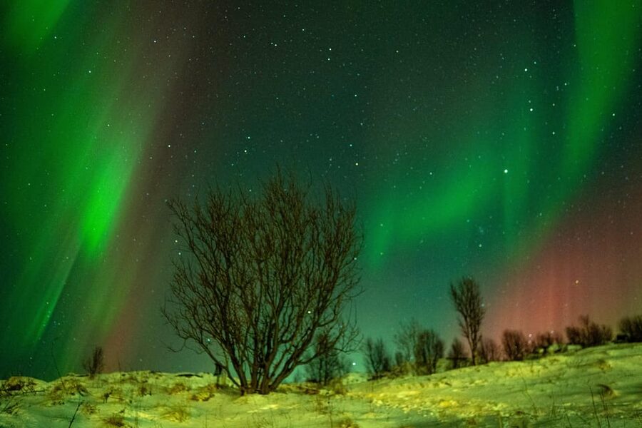 Tromsø: Small-Group Adventurous Northern Lights Hunt - The Arctic Chase Plan: Coast, Inland, or Finland Border Options