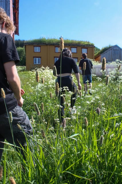 Tromsø: Small group Fjord Adventure, by Local - Key Highlights That Make This Fjord Adventure Work