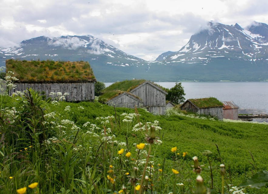 Tromsø: Small group Fjord Adventure, by Local - Tromsø Pickup and the Small-Group Advantage