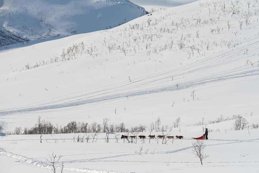 Tromsø: Small Group Kvaløya & Sommarøy Fjord Tour with Lunch - Price and value: is $177 per person fair?
