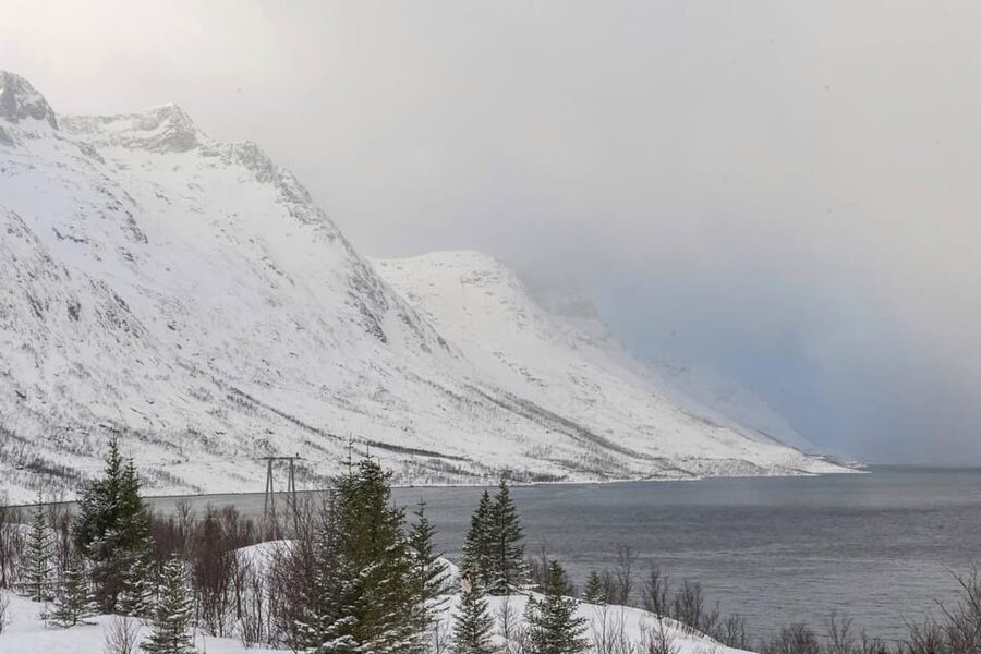 Tromsø: Small-Group Northern Lights Chase by Van with Photos - Campfire warmth, hot drinks, and real Norwegian comfort