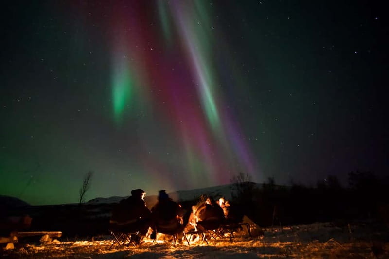 Tromsø: Small-Group Northern Lights Tour by Minibus - Pickup at Scandic Ishavshotel, and Why the Minibus Matters
