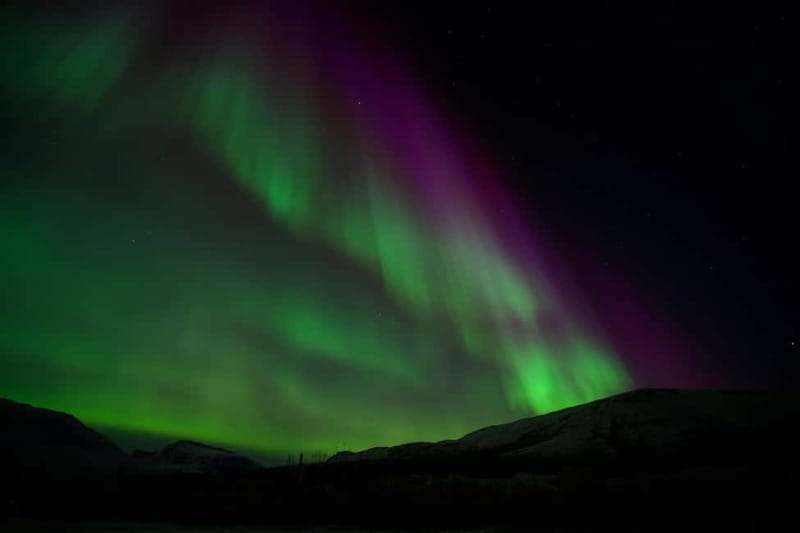 Tromsø: Small-Group Northern Lights Tour by Minibus - Bonfire Time, Warm Drinks, and a Meal That Makes the Wait Easier