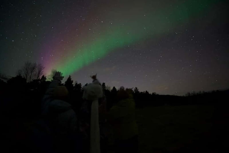 Tromsø: Small-Group Northern Lights Tour by Minibus - Free Guide Photos and Tripods, So You Do Not Miss the Moment