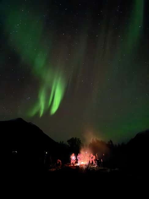 Tromsø: Small-Group Northern Lights Tour by Minibus - Price: Why $251 Feels High, But Not Random