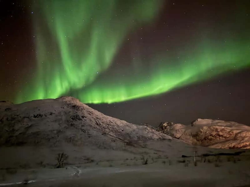 Tromsø: Small-Group Northern Lights Tour by Minibus - If Clouds Win: What Happens When the Aurora Does Not Show