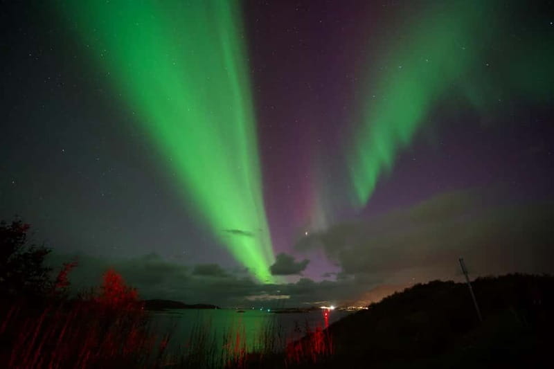 Tromsø: Small-Group Northern Lights Tour by Minibus - Who This Tromsø Minibus Tour Is Best For