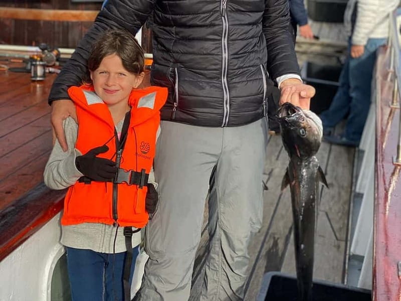 Tromsø: Small Group Sea-to-Table Fishing Experience - Wildlife and storytelling without turning it into a lecture