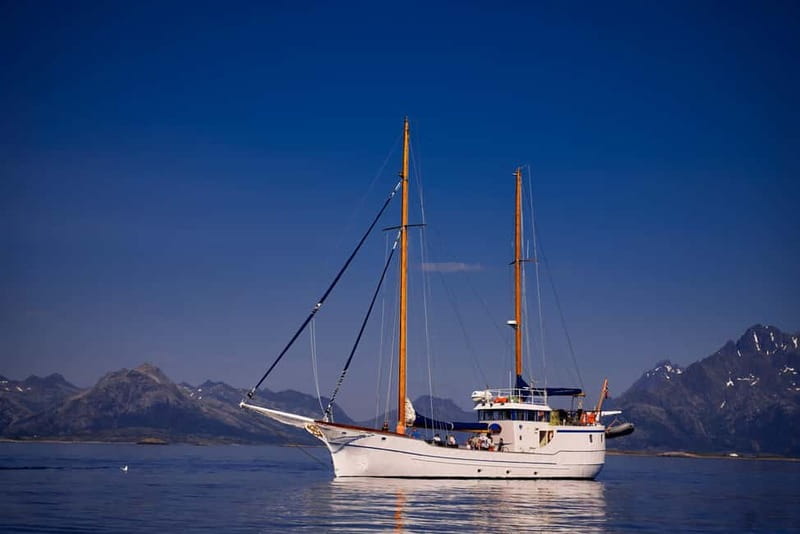 Tromsø: Small Group Sea-to-Table Fishing Experience - Price and value: what you’re really paying for at $309 per person