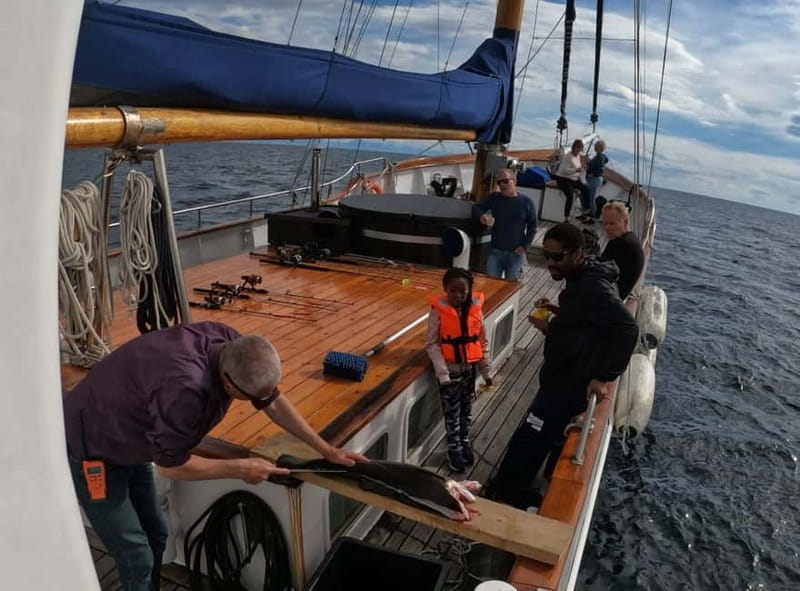 Tromsø: Small Group Sea-to-Table Fishing Experience - The 10:00 AM fjord cruise that sets the mood