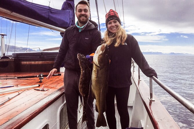 Tromsø Small Group Sea-to-Table Fishing Trip - Key highlights to know before you go