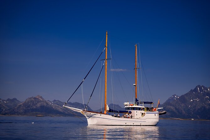 Tromsø Small Group Sea-to-Table Fishing Trip - Comfort onboard: cozy interior, lunch, cookies, coffee, and tea
