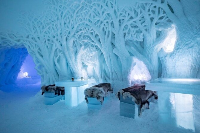 Tromsø Snowmobiling, Ice Domes Snow Park, and Reindeer Visit - Tamokdalen, the real reason this feels like an Arctic day