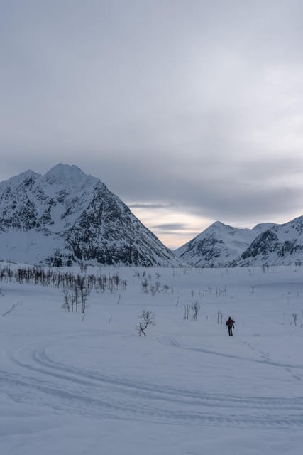Tromso-Snowshoeing excursion to view point - Snowshoe Walking: How The Tour Keeps It Active Without Rushing You