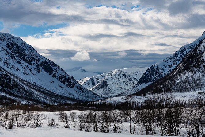 Tromso-Snowshoeing Excursion to Viewpoint - The Coffee, Tea, and Muffins Stop That Changes the Mood