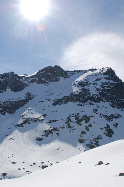 Tromsø: Snowshoeing in Scenic Landscape - Forest Trails and the Choice: Flat Walking or a Small Mountain View