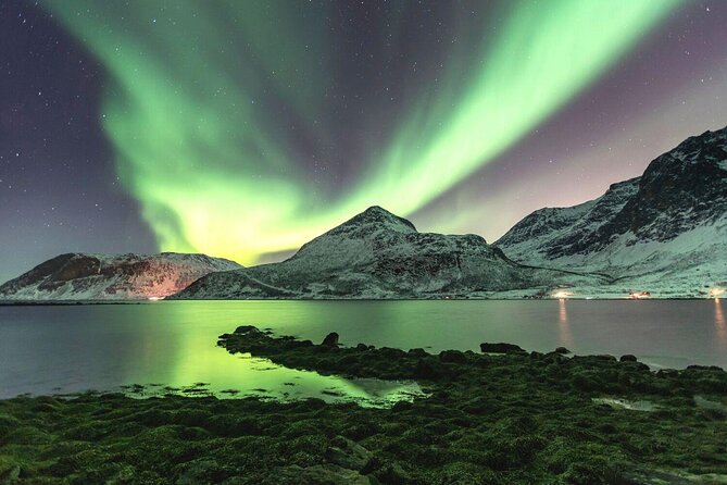 Tromso Snowshoeing - Valley, Fjord Views, Wildlife, Meal & Pickup - Tromsø Snowshoeing, Why It Feels Like Real Arctic Time