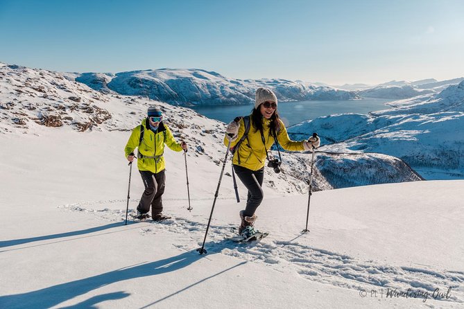 Tromso Snowshoeing - Valley, Fjord Views, Wildlife, Meal & Pickup - The West-Coast Drive: Where You Set the Tone for the Day