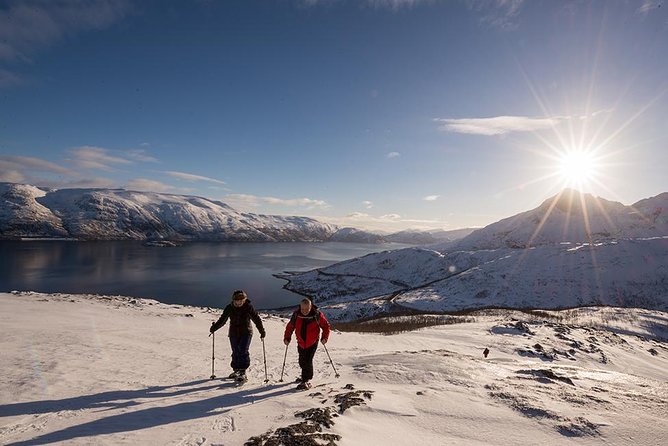 Tromso Snowshoeing - Valley, Fjord Views, Wildlife, Meal & Pickup - How Challenging Is It, and What the Pace Feels Like