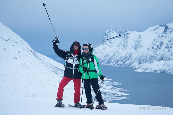 Tromso Snowshoeing - Valley, Fjord Views, Wildlife, Meal & Pickup - Wildlife Spotting: The Fun Part You Cannot Control