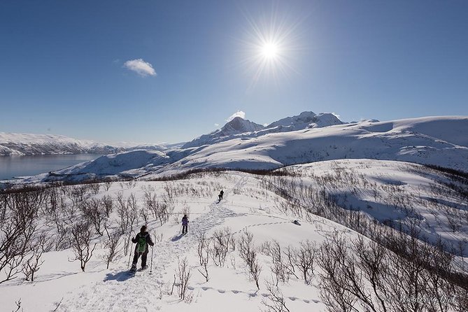 Tromso Snowshoeing - Valley, Fjord Views, Wildlife, Meal & Pickup - What to Pack: Cold-Proof Layers and Small Practical Wins