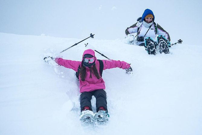 Tromso Snowshoeing - Valley, Fjord Views, Wildlife, Meal & Pickup - Snowshoes or No Snow, What Happens When Conditions Change
