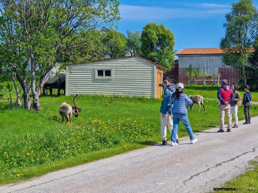 Tromsø: Sommaroy Fjord Tour with Lunch Option - Why the photo service is more useful than it sounds