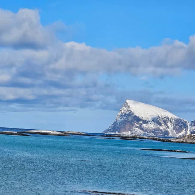 Tromsø: Sommerøya and Kvaløya Arctic Fjords Tour with Lunch - Photography help that actually changes your results