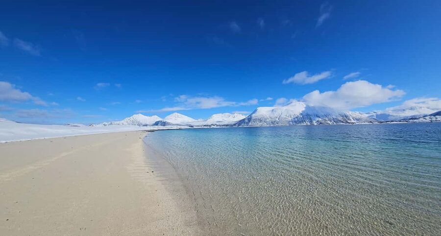 Tromsø: Sommerøya and Kvaløya Arctic Fjords Tour with Lunch - Pickup from Scandic Ishavshotel and the minivan pace