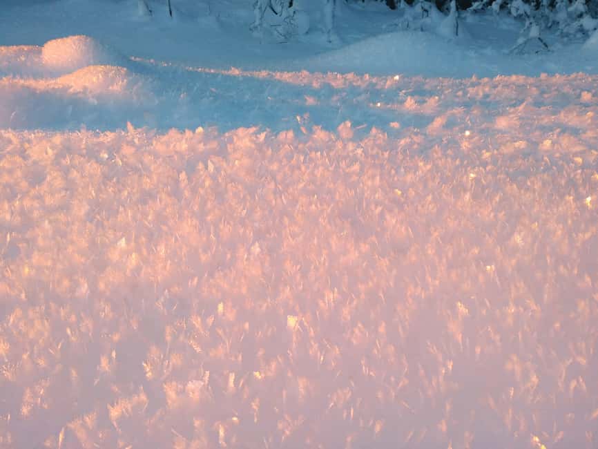 Tromsø Street to Wilderness: Guided Snowshoe Hike - Practical tips so your feet and hands stay happy