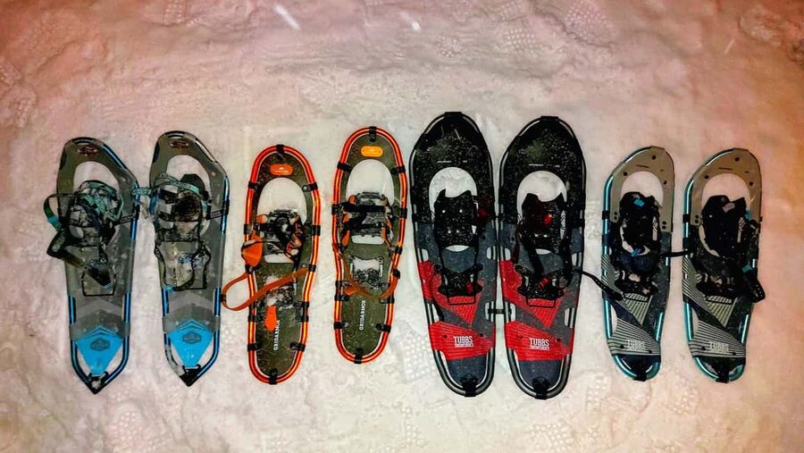 Tromsø Street to Wilderness: Guided Snowshoe Hike - Should you book Tromsø Street to Wilderness snowshoe hike?