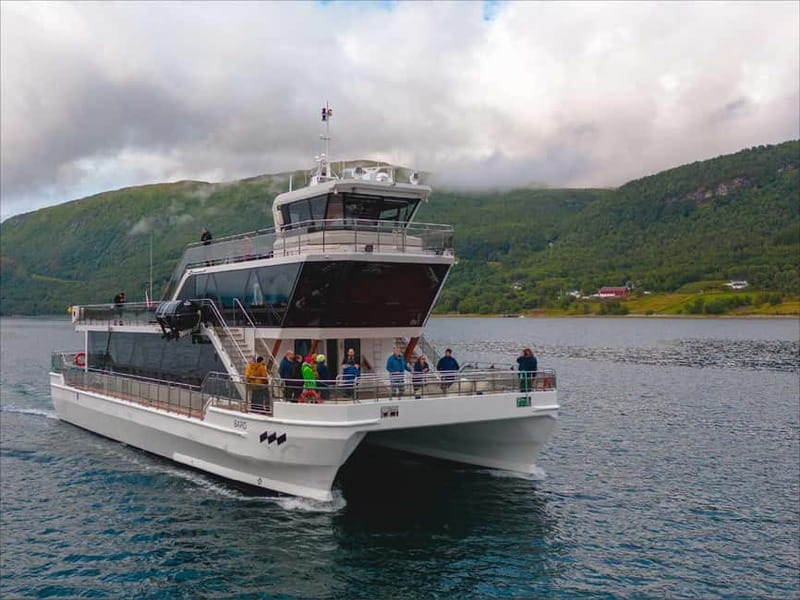 Tromsø: Summer Arctic Light Cruise with a Guide - The Boat Ride Itself: Cozy Comfort Plus Clear Views