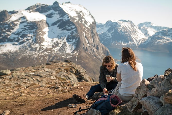 Tromsø: Summer Day Hike with Wandering Owl - Key highlights and what they mean for you